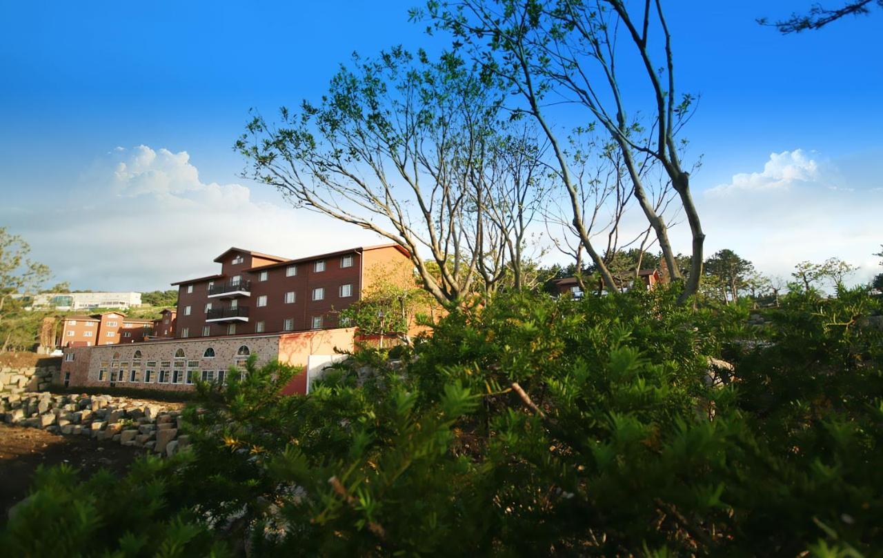 Arbon Youth Hostel & Resort Jeju Ngoại thất bức ảnh